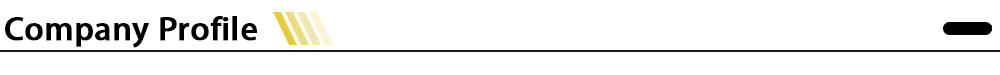 Company Profile.jpg