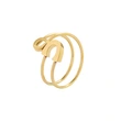 Gold Titanium Pin Ring