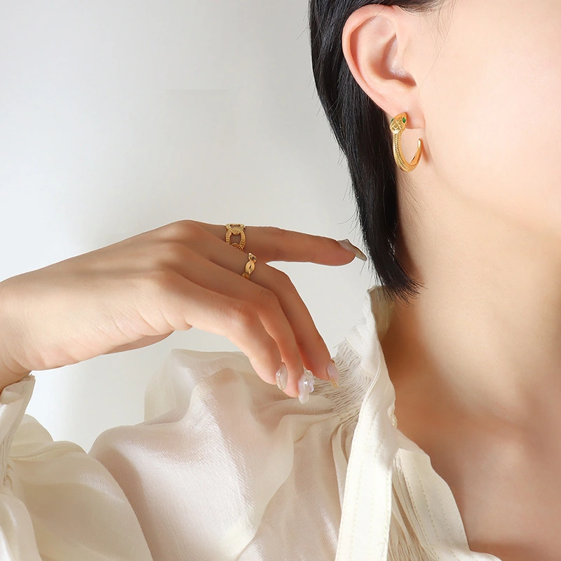 Snake Earrings Stainless Steel Hoops Earrings