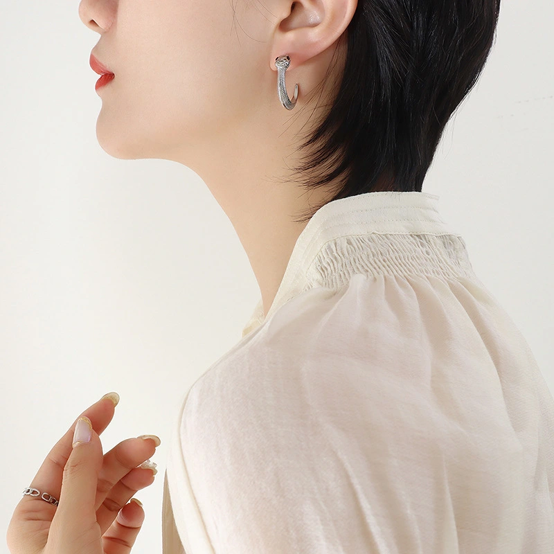 Snake Earrings Stainless Steel Hoops Earrings