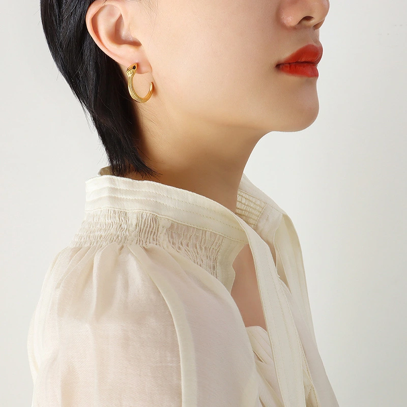 Snake Earrings Stainless Steel Hoops Earrings