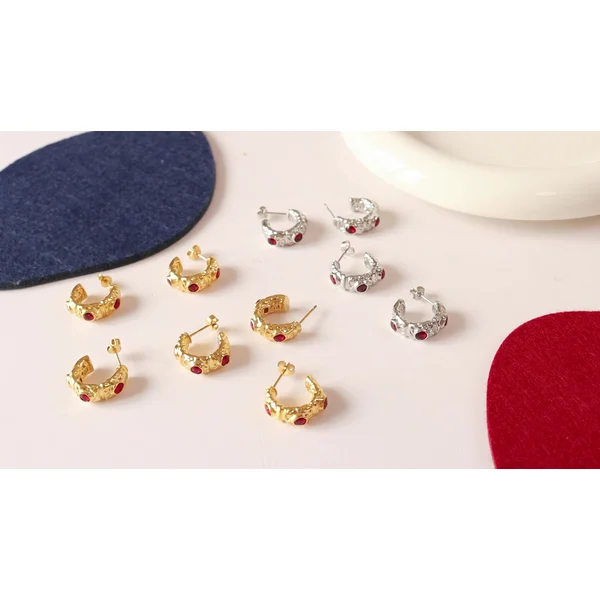 Stainless Steel Earring Hoops for Women