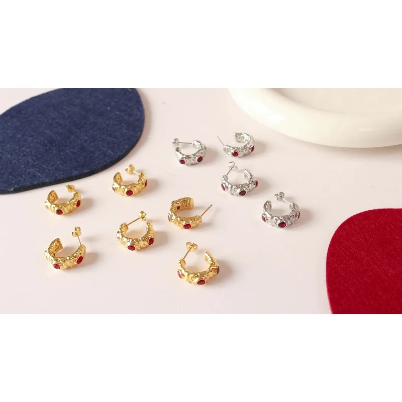 Stainless Steel Earring Hoops for Women