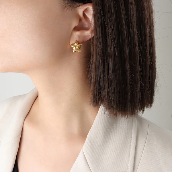 Women Stainless Steel Gold Star Earrings