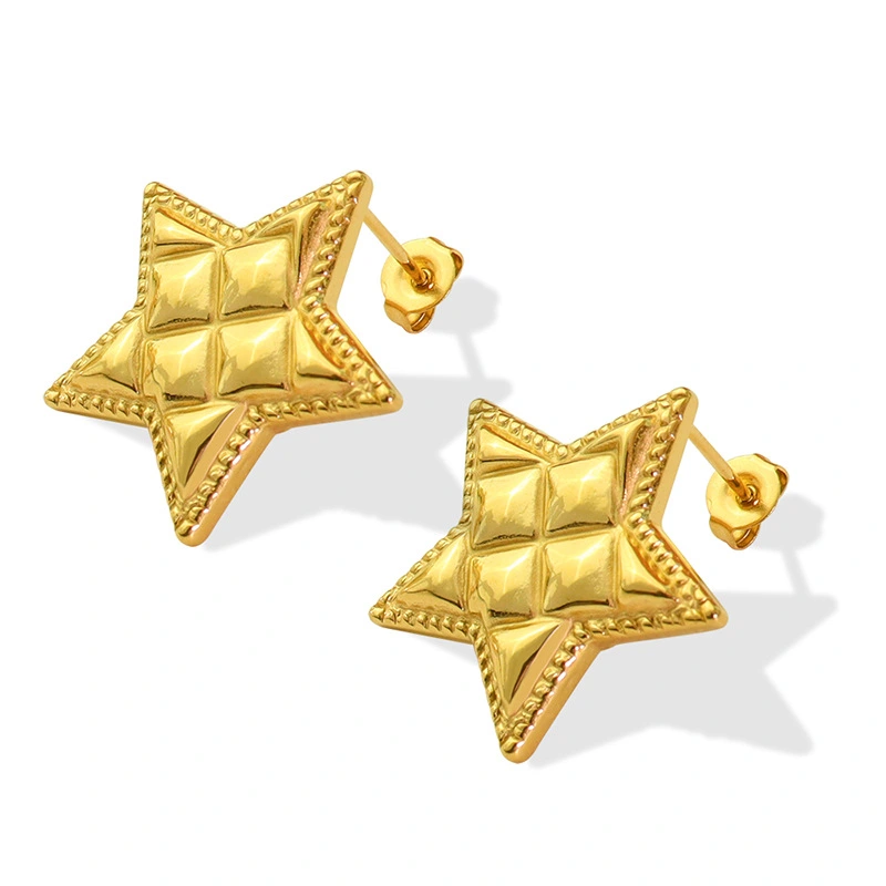 Titanium Steel Textured Star Stud Earrings