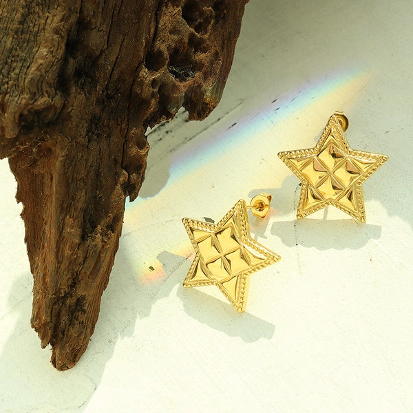 Titanium Steel Textured Star Stud Earrings