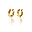 Women Stainless Steel Gold Plated Iced Out Drop Earrings