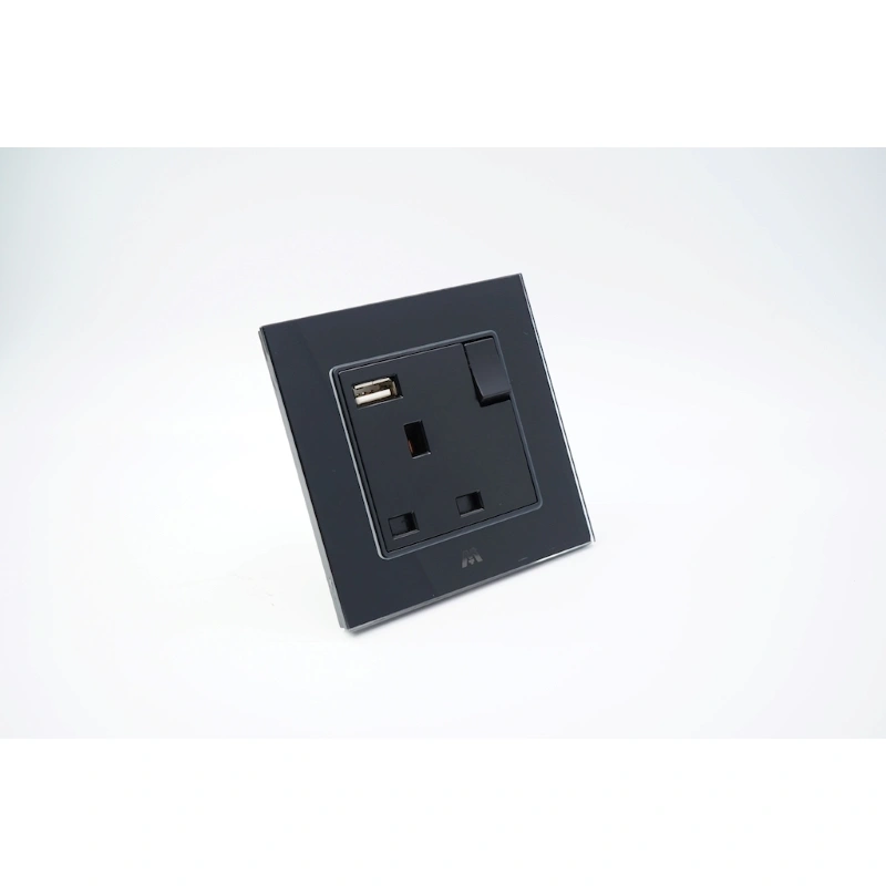 GlASS BS SWITCHED SOCKET WITH USB IN GOOD PRICE & QUALITY