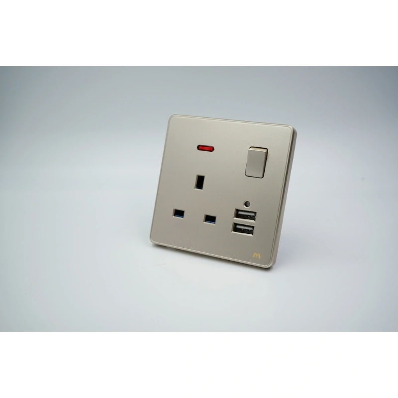 BS SWITCHED SOCKET WITH USB IN GOOD PRICE & QUALITY