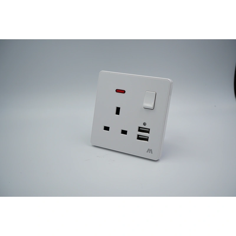 BS SWITCHED SOCKET WITH USB IN GOOD PRICE & QUALITY