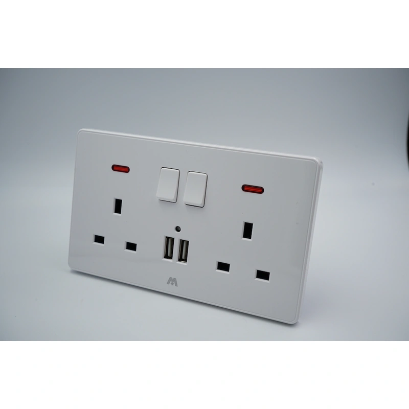 TWIN BS SWITCHED SOCKET IN GOOD PRICE & QUALITY