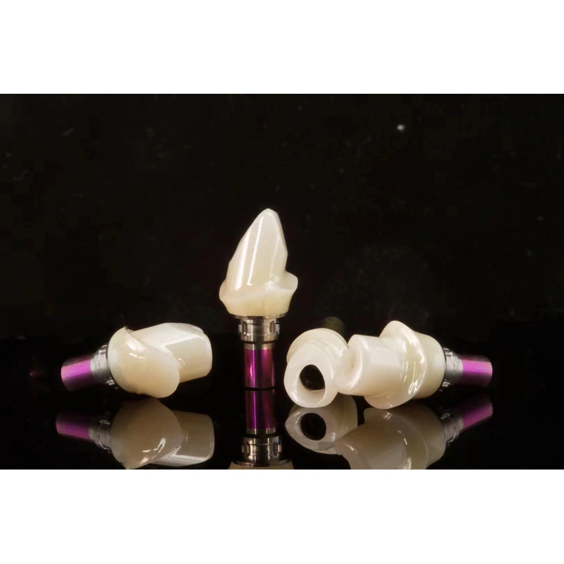 CUSTOM CAD/CAM IMPLANTS ABUTMENTS