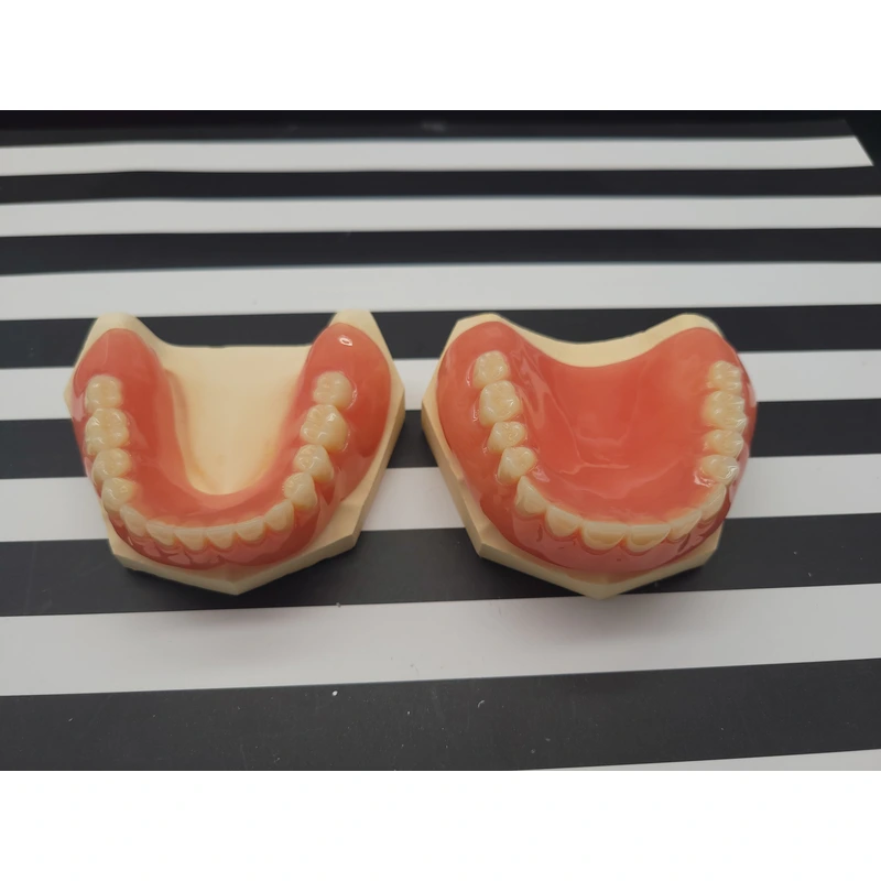 Acrylic/Valplast Denture