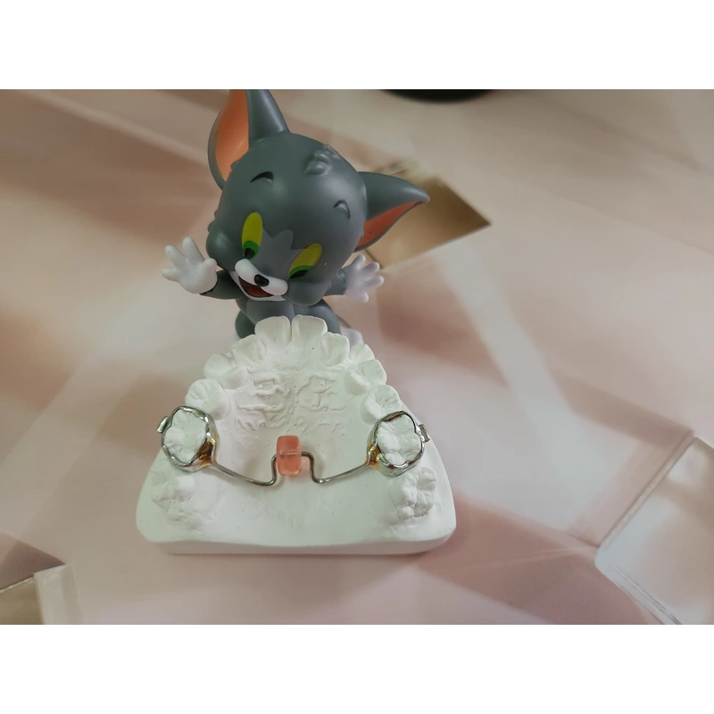 Chinese orthodontics