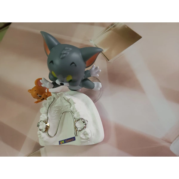 Chinese orthodontics