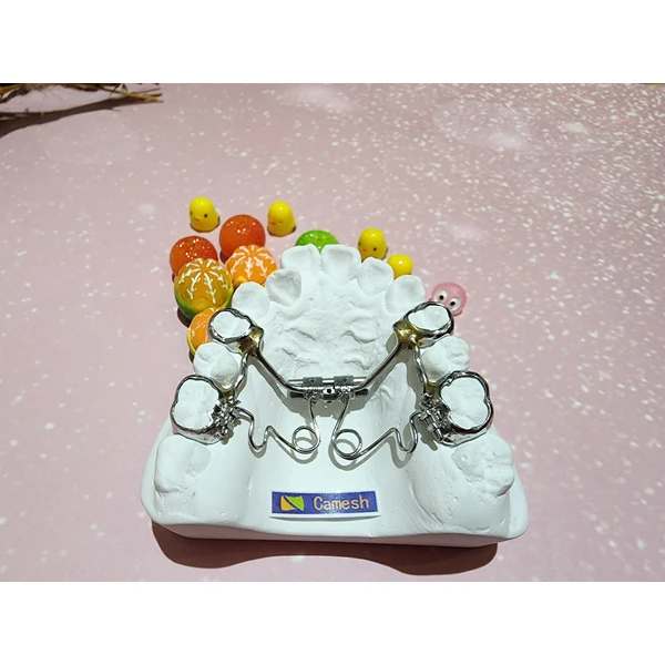 Chinese orthodontics