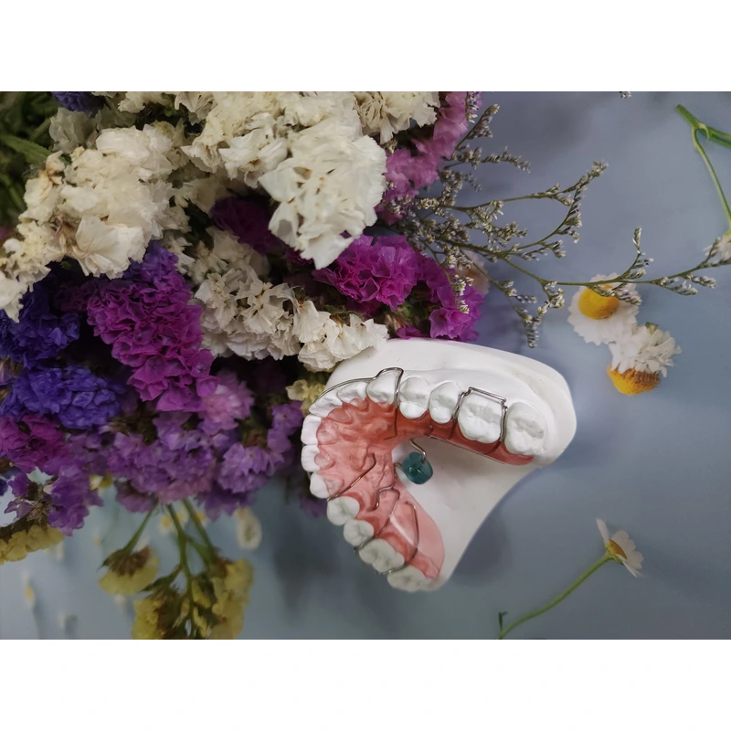 Chinese orthodontics