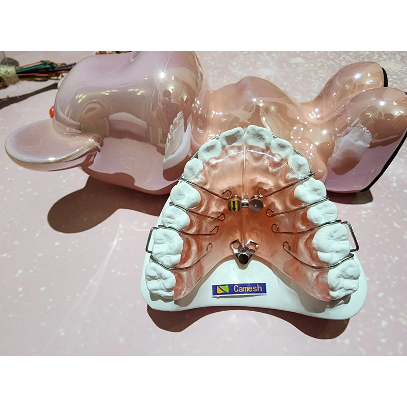 Chinese orthodontics