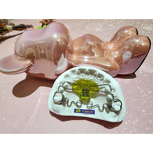 Chinese orthodontics