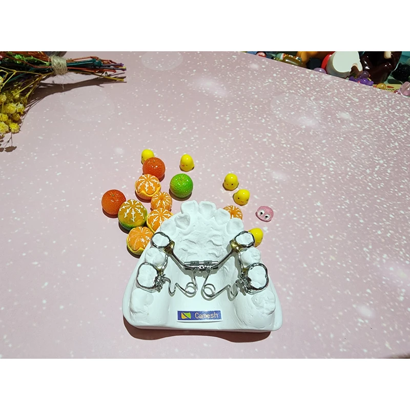 Chinese orthodontics