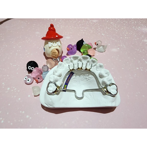 Chinese orthodontics