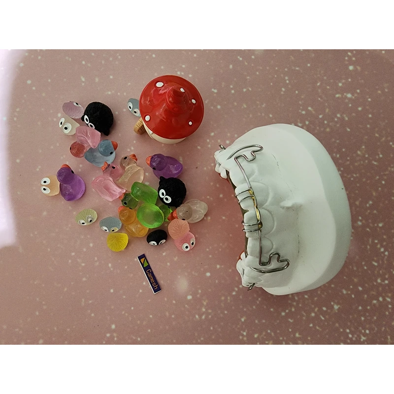 Chinese orthodontics