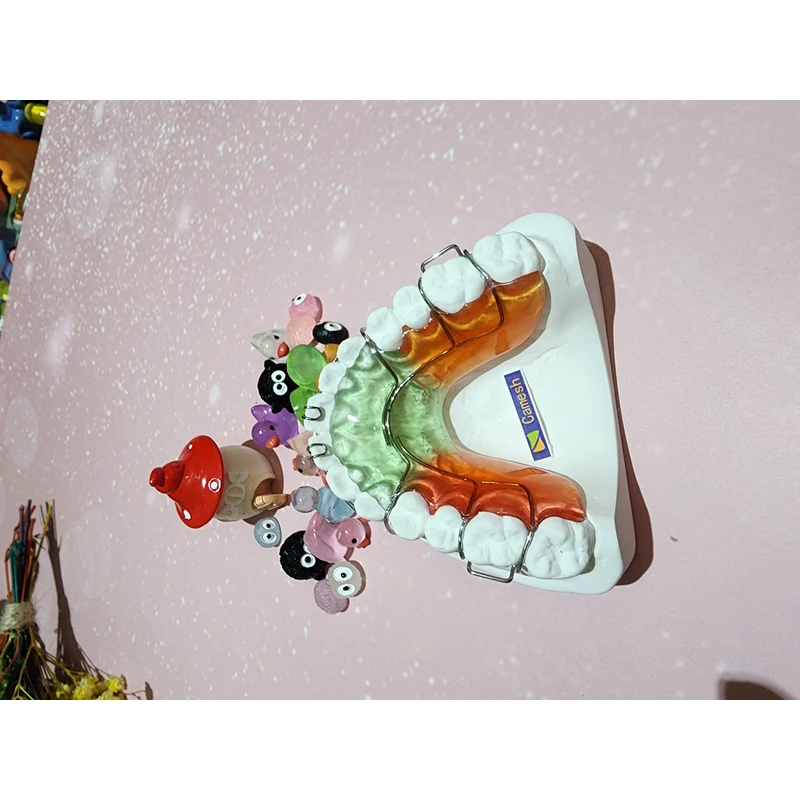 Chinese orthodontics