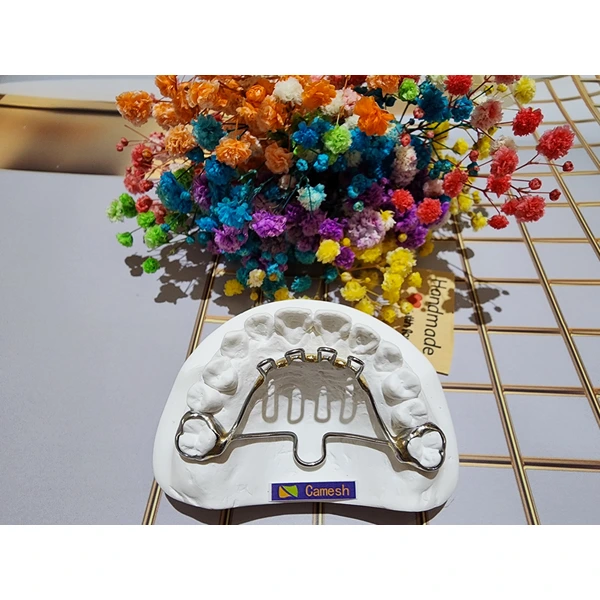 Chinese orthodontics