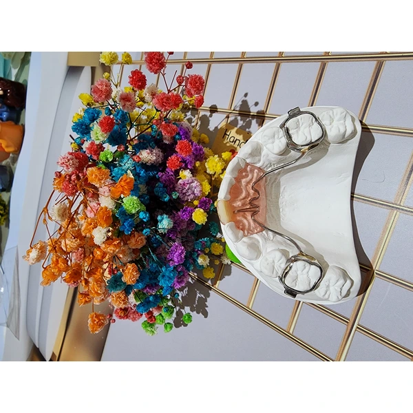 Chinese orthodontics