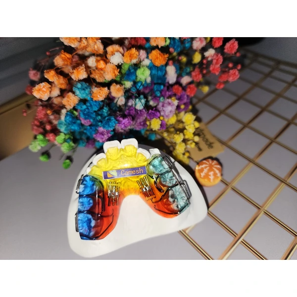 Chinese orthodontics