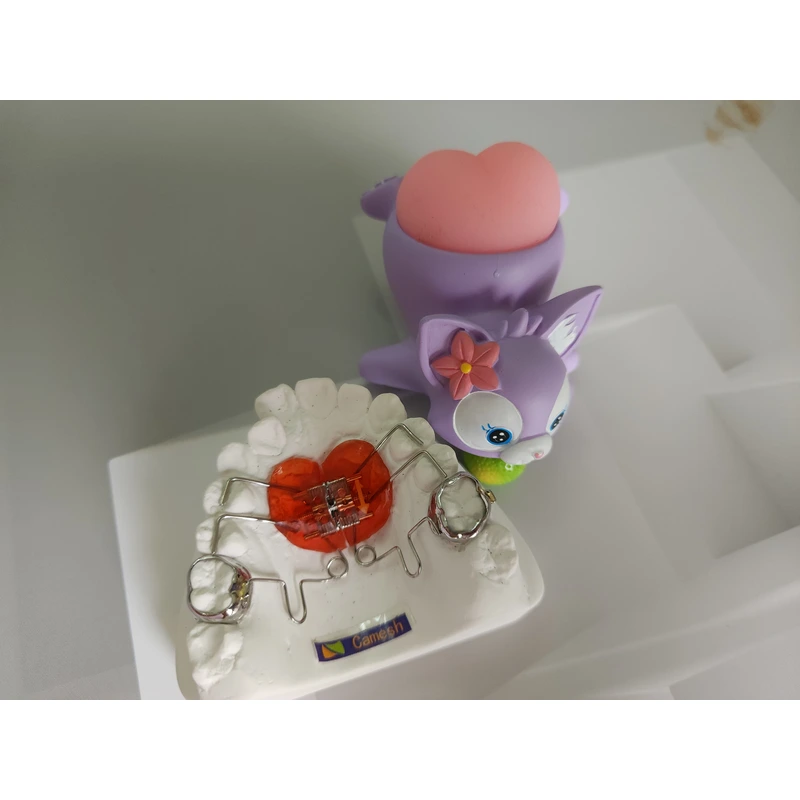 Chinese orthodontics