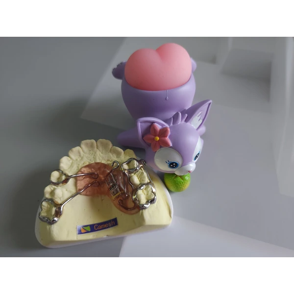 Chinese orthodontics