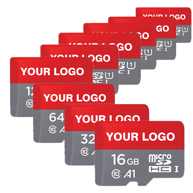 Class 10 Micro TF SD Memory Card