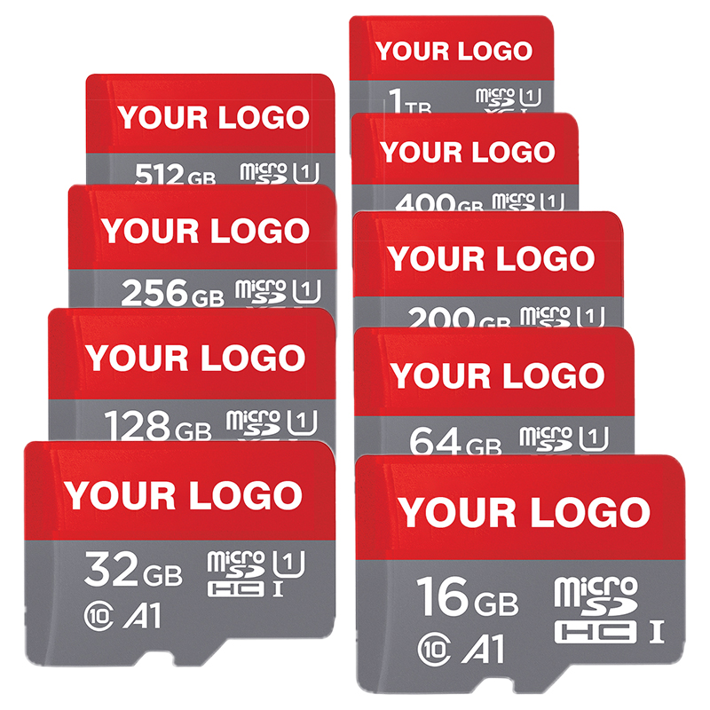 Class 10 Micro TF SD Memory Card