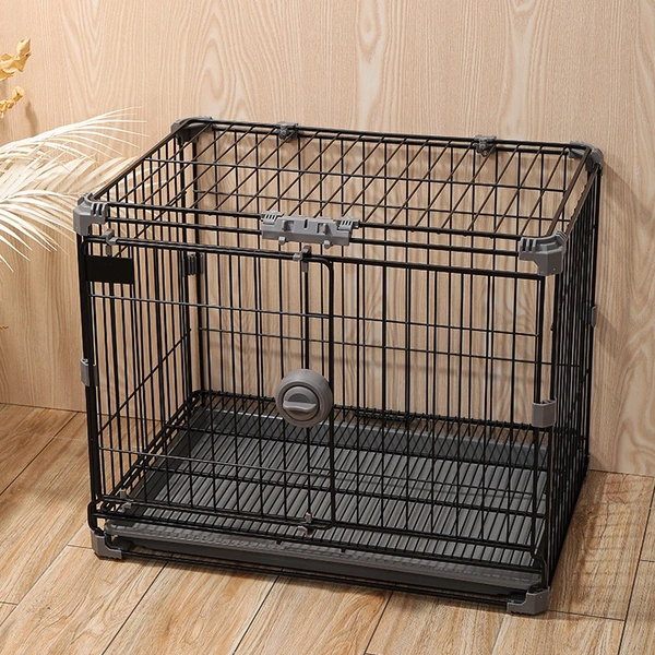 animal dog pet cat cage house