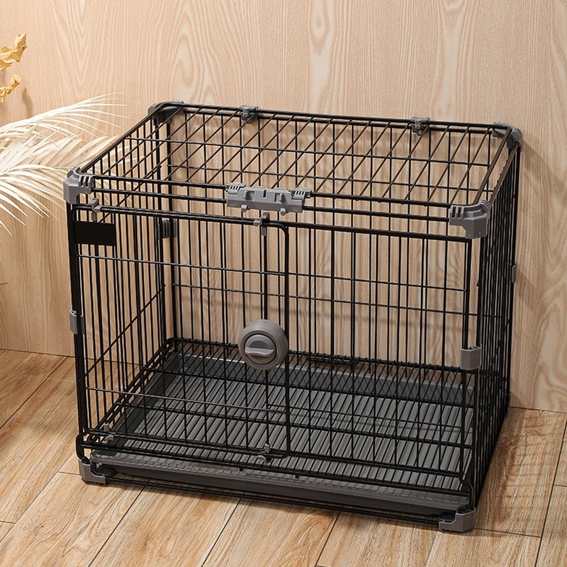 animal dog pet cat cage house