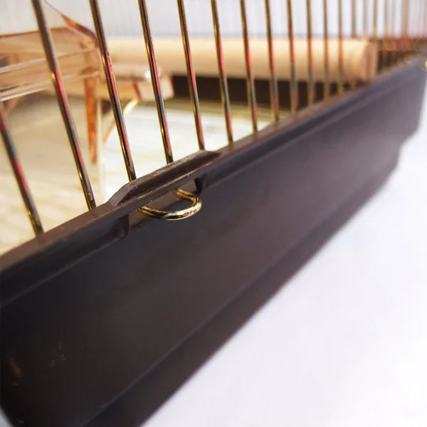 metal gold bird wire indoor cages