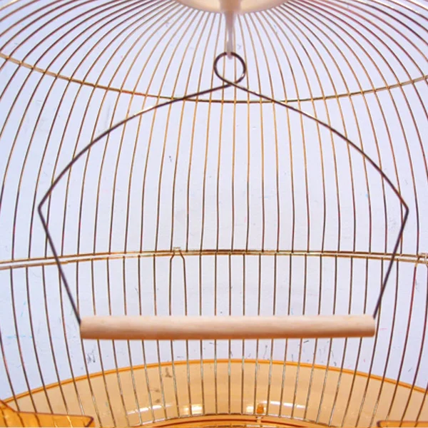 small gold metal bird cage