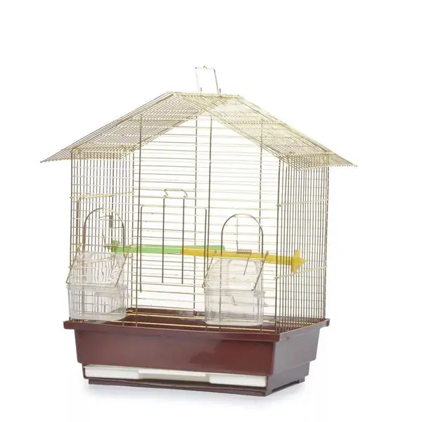 golden bird cage in stock