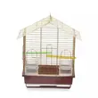golden bird cage in stock