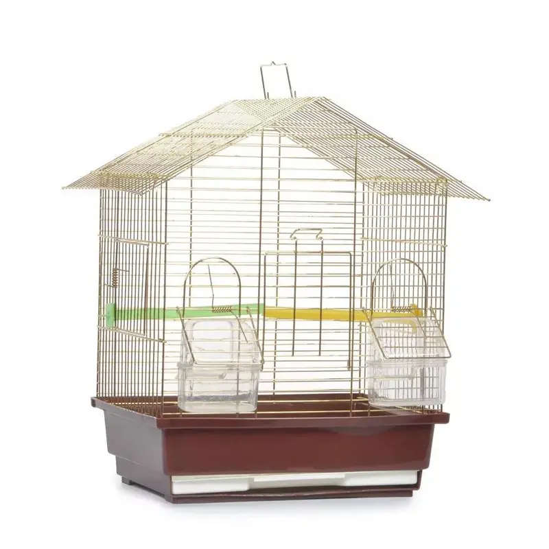 golden bird cage in stock