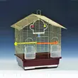 golden bird cage in stock