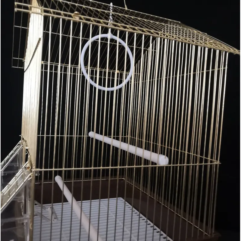 golden bird cage in stock