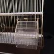 golden bird cage in stock