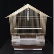 golden bird cage in stock