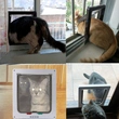 Tough pet cat home door