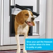 dog access door with flap