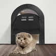 Pet interior and exterior door