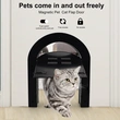 Pet interior and exterior door