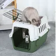 Ventilation pet travel cage